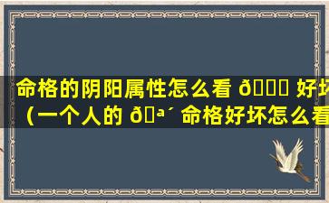 命格的阴阳属性怎么看 💐 好坏（一个人的 🪴 命格好坏怎么看）